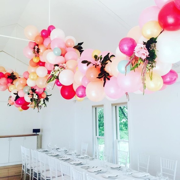 Meet your Posher, Violet - Picture 1 of 1